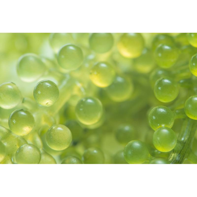 Green-Caviar.jpg